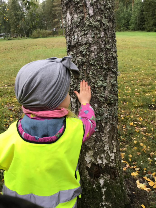 Lapsi tunnustelemassa puunrunkoa